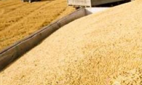 昆明網(wǎng)站建設(shè)|云南網(wǎng)站建設(shè)|昆明網(wǎng)站設(shè)計|昆明網(wǎng)站制作|云南網(wǎng)站,昆明網(wǎng)站建設(shè),云南網(wǎng)站建設(shè),昆明網(wǎng)站設(shè)計,云南網(wǎng)站設(shè)計,昆明網(wǎng)站制作,云南網(wǎng)站制作,商城網(wǎng)站建設(shè),政府網(wǎng)站建設(shè),集團網(wǎng)站建設(shè),電商平臺建設(shè),高端網(wǎng)站建設(shè),微網(wǎng)站建設(shè)