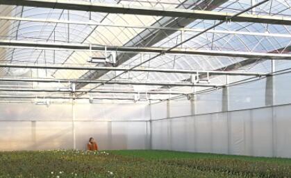 昆明網(wǎng)站建設(shè)|云南網(wǎng)站建設(shè)|昆明網(wǎng)站設(shè)計(jì)|昆明網(wǎng)站制作|云南網(wǎng)站制作|云南網(wǎng)站設(shè)計(jì)|承錦科技,昆明網(wǎng)站建設(shè),云南網(wǎng)站建設(shè),昆明網(wǎng)站設(shè)計(jì),云南網(wǎng)站設(shè)計(jì),昆明網(wǎng)站制作,云南網(wǎng)站制作,商城網(wǎng)站建設(shè),政府網(wǎng)站建設(shè),集團(tuán)網(wǎng)站建設(shè),電商平臺(tái)建設(shè),高端網(wǎng)站建設(shè),微網(wǎng)站建設(shè)